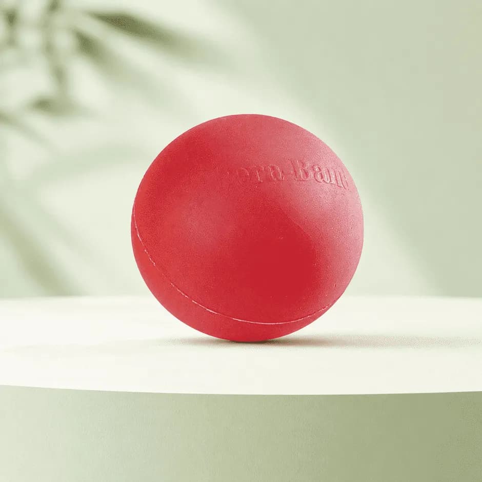 Hand Rehabilitation Ball 1