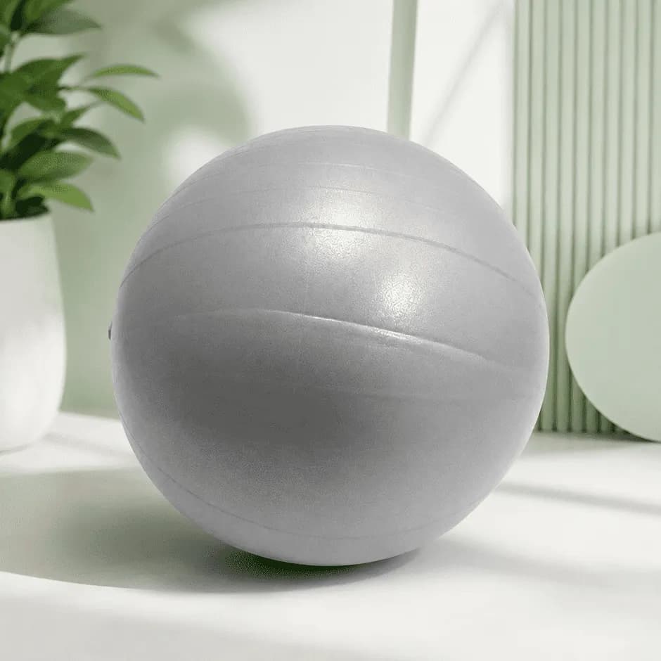 Rehabilitation Ball 2